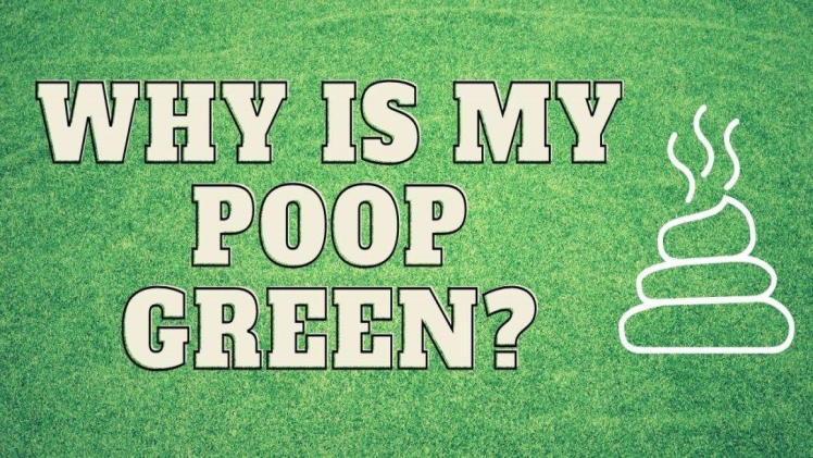 Why is My Poop Green When I Didnt Eat Anything Green 1160x549